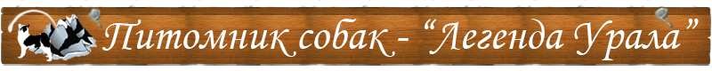 ТУТ НАЗВАНИЕ САЙТА